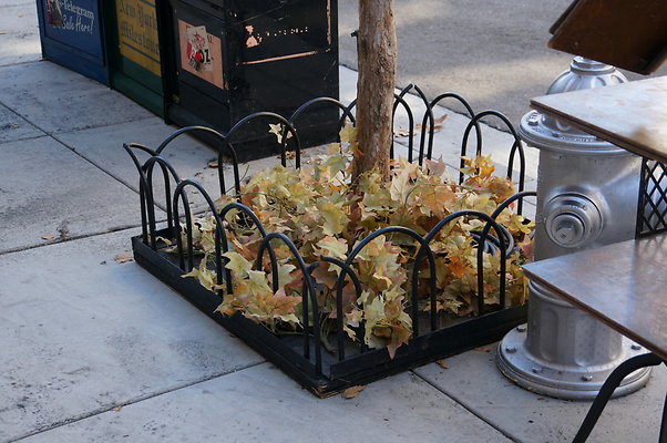 Universal.NY.St.Lyric Theater17 Universal.NY.St.Lyric Theater17