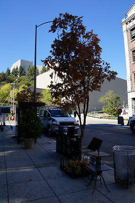 Universal.NY.St.Lyric Theater16 Universal.NY.St.Lyric Theater16