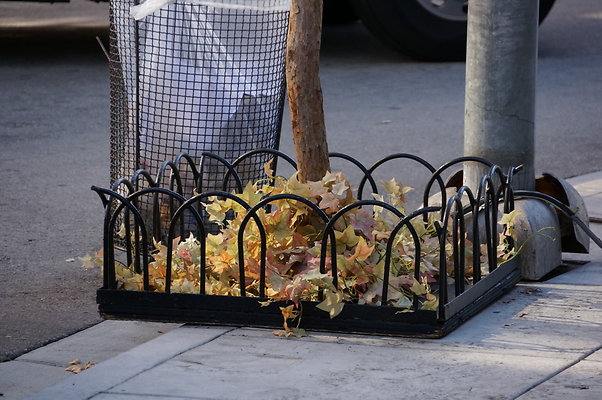 Universal.NY.St.Lyric Theater18 Universal.NY.St.Lyric Theater18