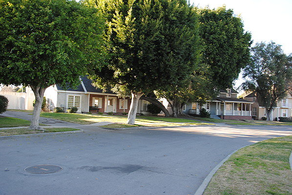 DSC 0143