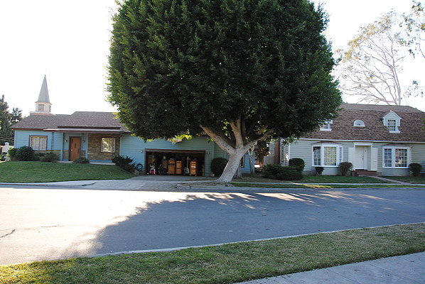 DSC 0112