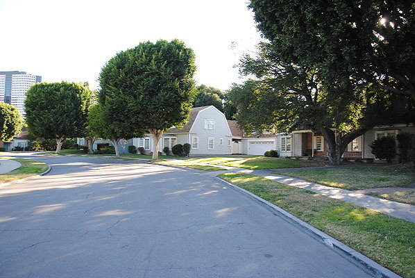 DSC 0092