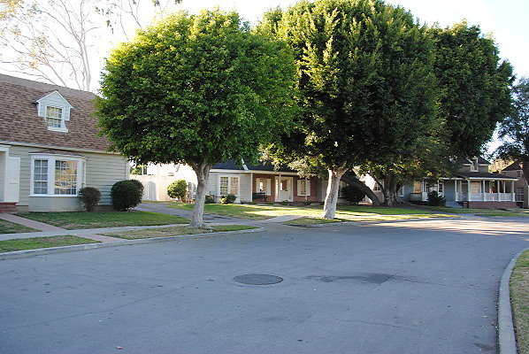 DSC 0139