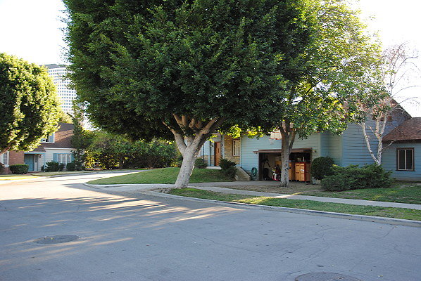 DSC 0103