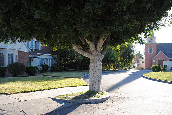 DSC 0129