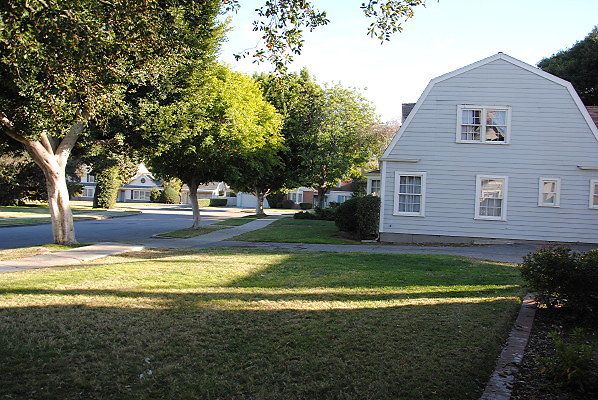 DSC 0100