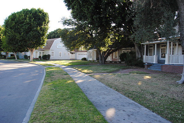 DSC 0084
