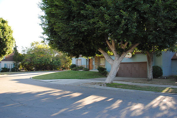 DSC 0141