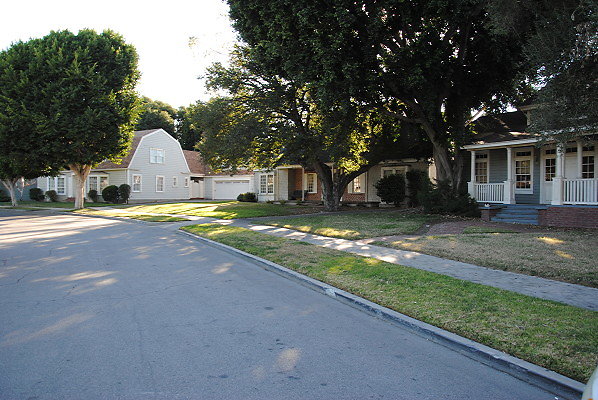 DSC 0083