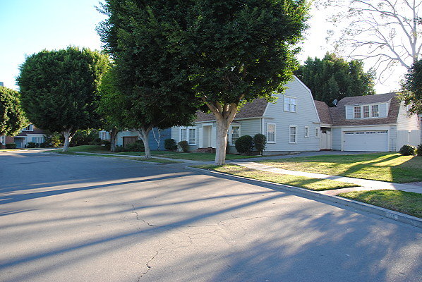 DSC 0166