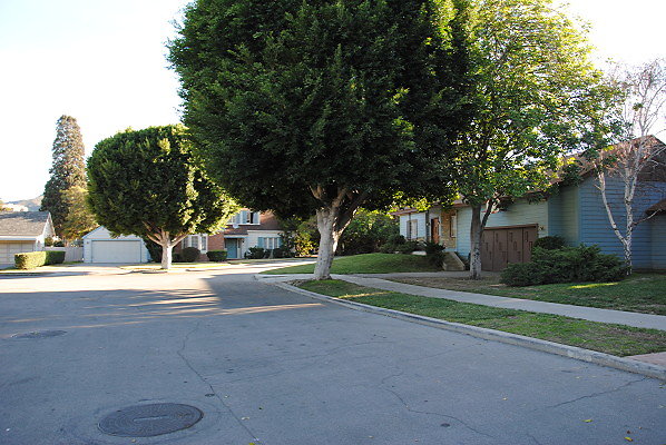 DSC 0146