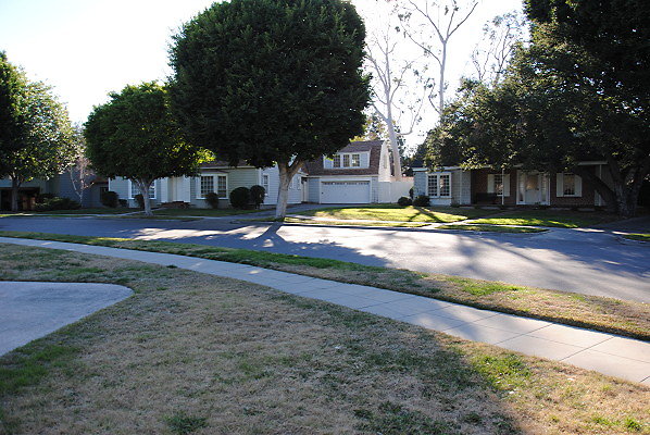 DSC 0077