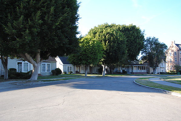 DSC 0131