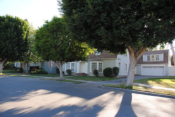 DSC 0074