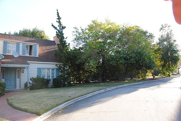 DSC 0134