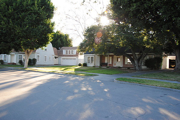 DSC 0160