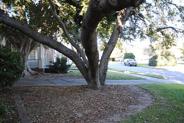 DSC 0098