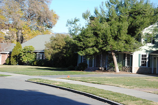 DSC 0117