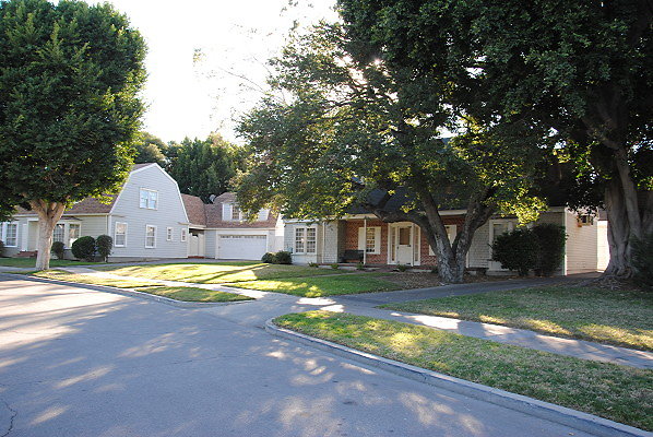 DSC 0079
