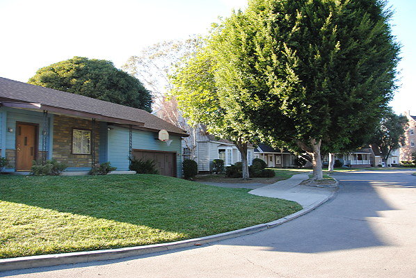DSC 0136