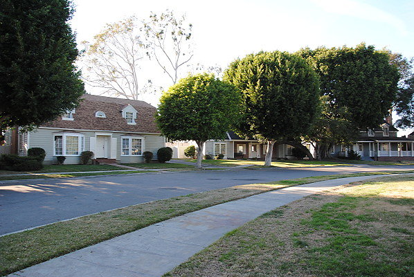 DSC 0111