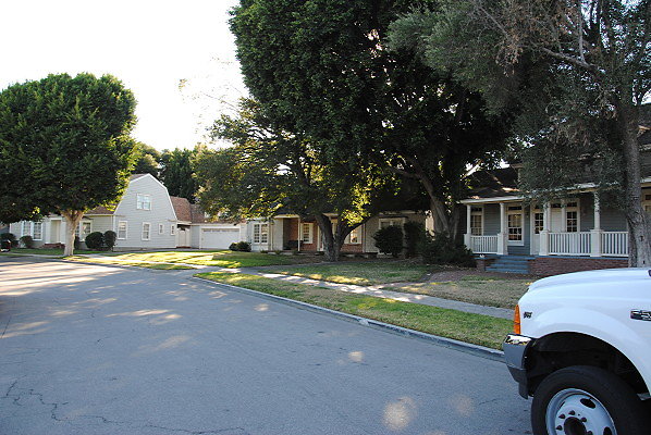 DSC 0082
