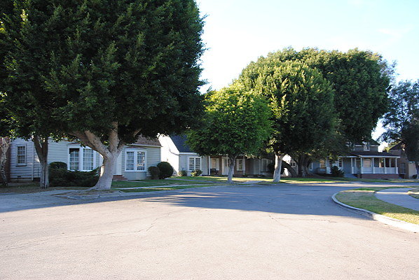 DSC 0115