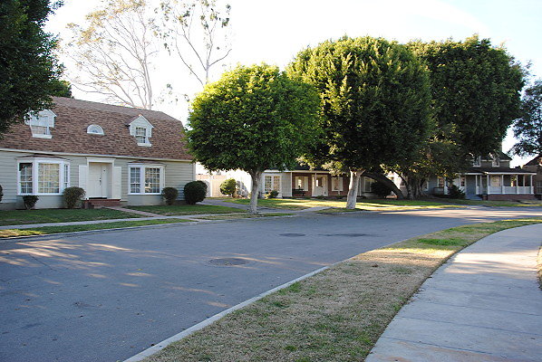 DSC 0107