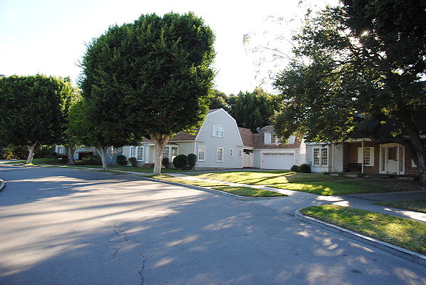 DSC 0078