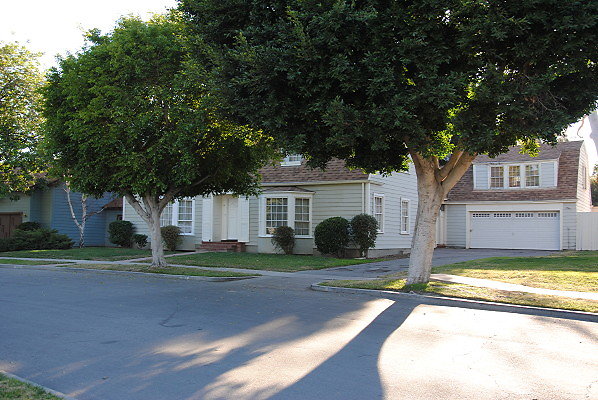 DSC 0147