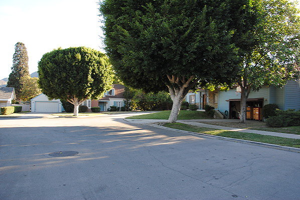 DSC 0106