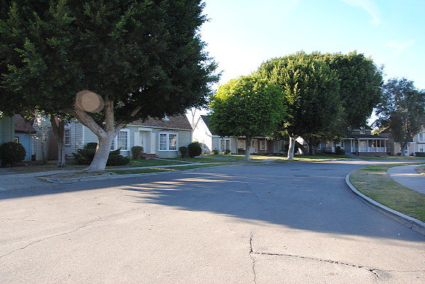DSC 0137