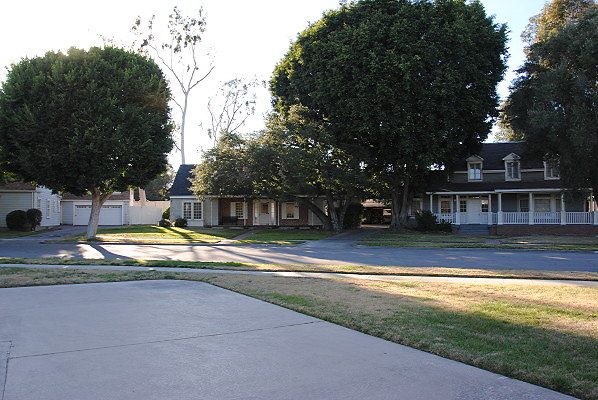 DSC 0154