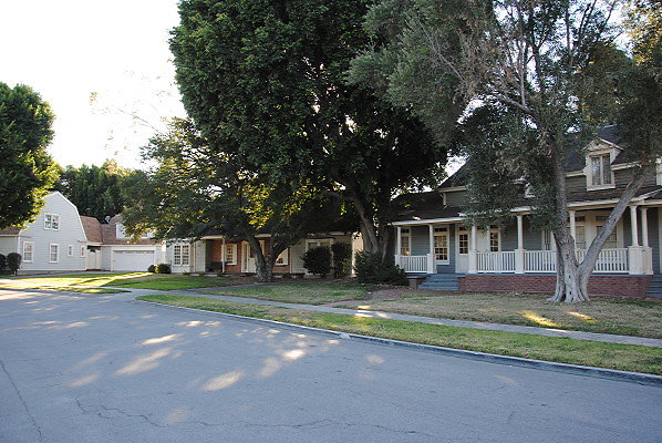 DSC 0155