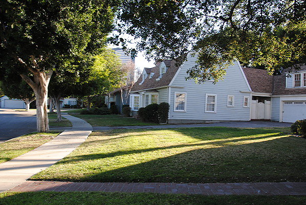 DSC 0101