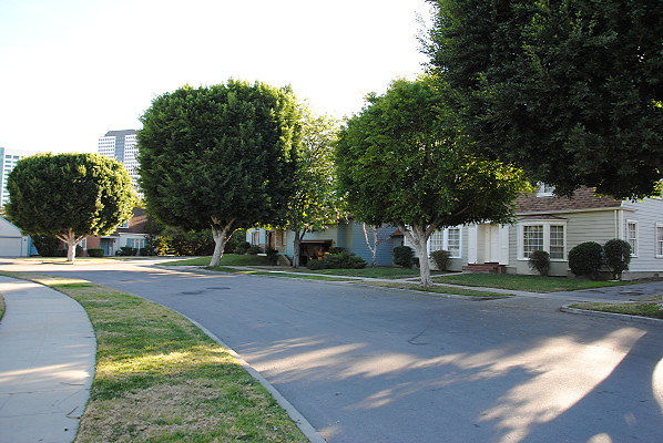 DSC 0102