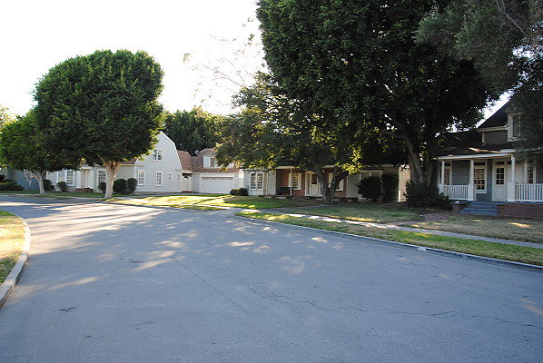 DSC 0089