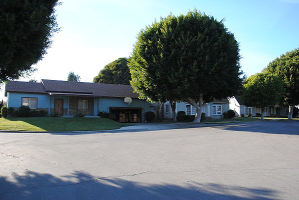 DSC 0114
