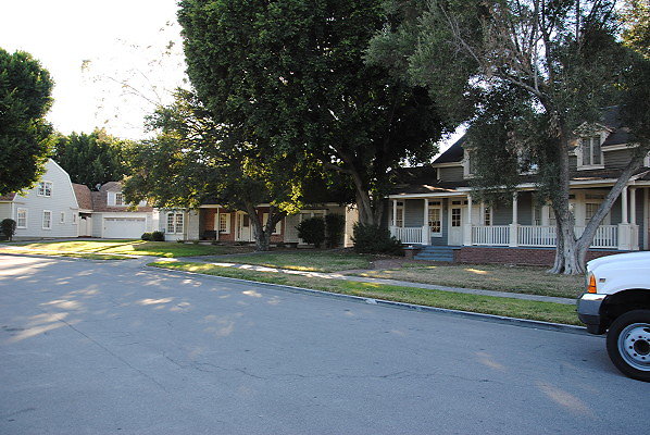 DSC 0090