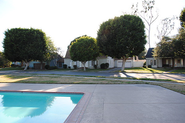 DSC 0153