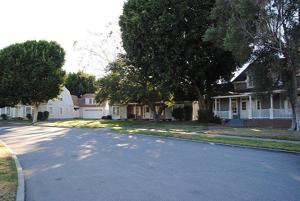 DSC 0088