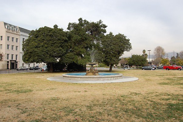 DSC 0141