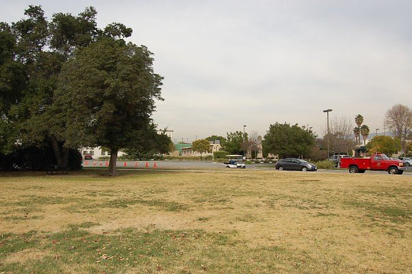 DSC 0132