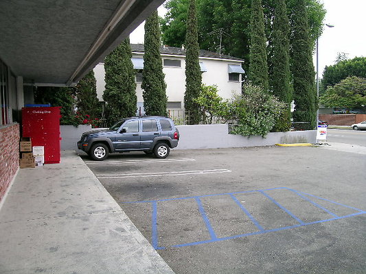 DSCN6528