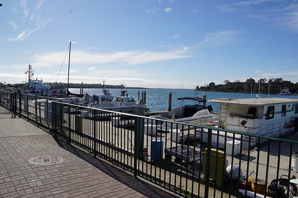 DSC07268