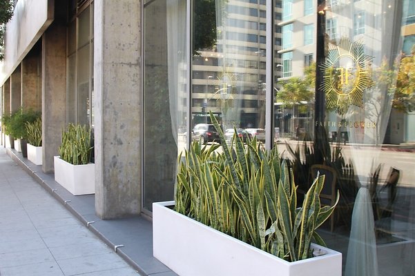 Faith.Flower.Rest.DTLA.36