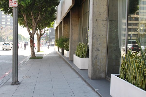Faith.Flower.Rest.DTLA.37