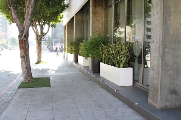 Faith.Flower.Rest.DTLA.39