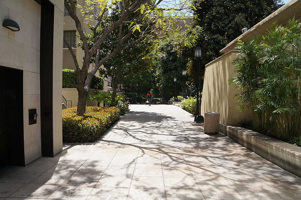DSC01910
