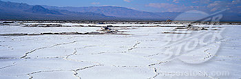 Bristol Dry Lake.11 - Salt Flats in the Mojave Desert